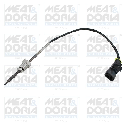 Sensor, exhaust gas temperature